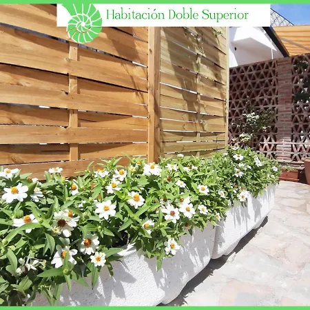 Alloggio in famiglia Biznaga Hols (adults Only) Benalmádena